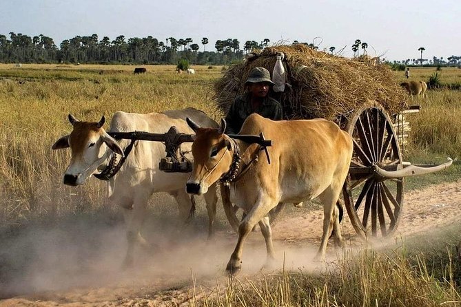 Private Siem Reap Quad Bike Adventure - Key highlights to know before you ride