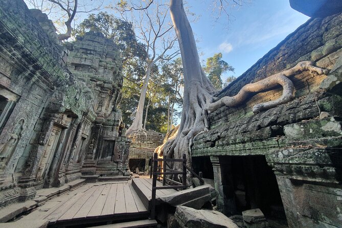 Private Sunrise and Sunset Angkor Park Tour with Rest Mid-Day - Ta Prohm Early: Angelina Jolie Film Fame, Before the Crush