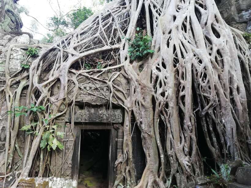 Private Sunrise Angkor Wat Tour - Why Sunrise at Angkor Wat Feels Different at First Light