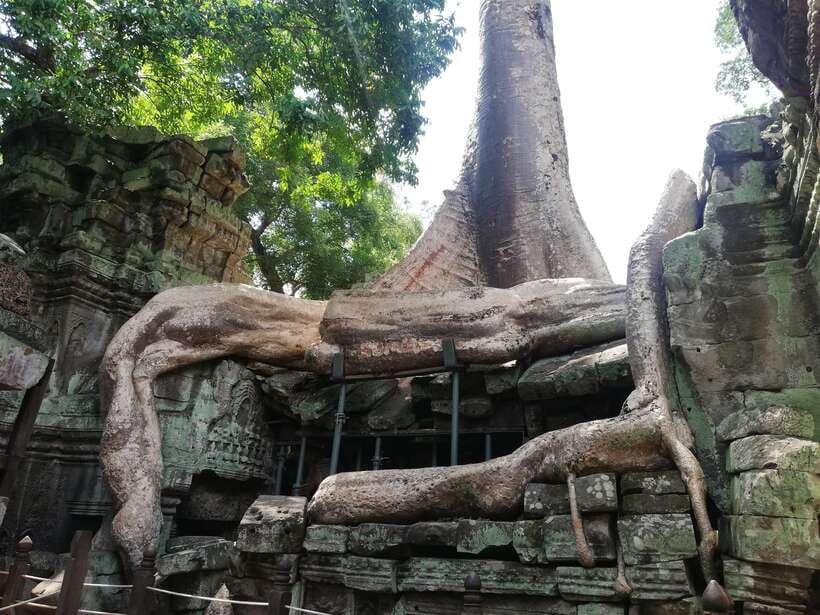 Private Sunrise Angkor Wat Tour - Price and Value: What $90 Per Person Really Buys