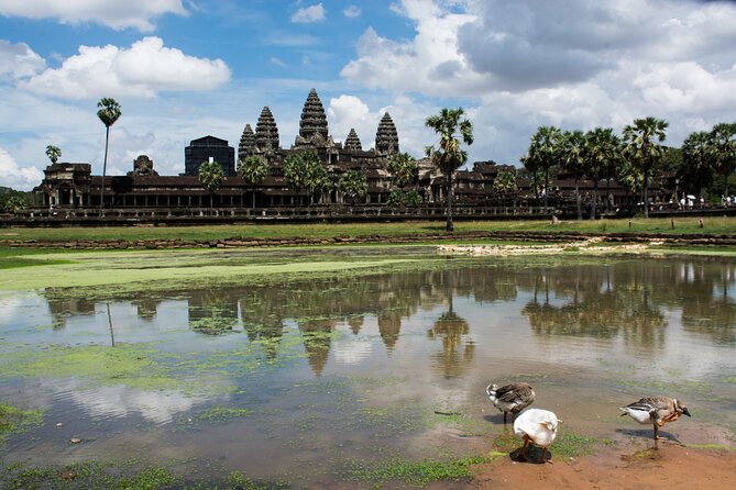 Private Sunrise Angkor Wat Tour with pickup from your hotel - Comfort, private format, and the monk blessing timing