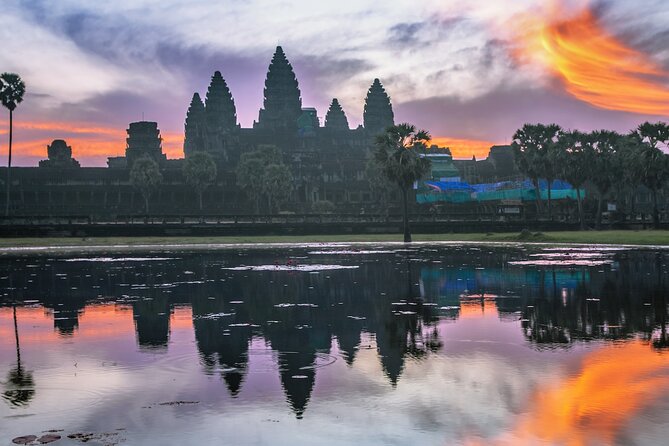 Private Sunrise Angkor Wat Tour with pickup from your hotel - Ta Prohm, the tree temple that pulls your eyes downward