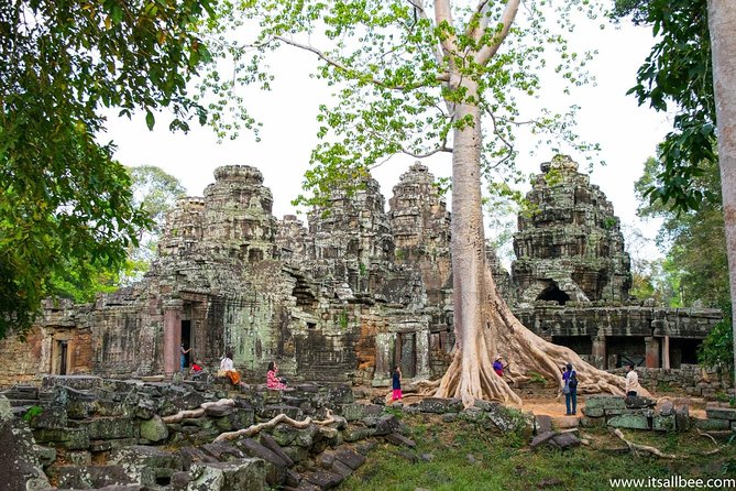 Private sunrise 'small tour' of Angkor Wat with car or van & Guide - Stop 2: Banteay Kdei and the silk cotton tree roots