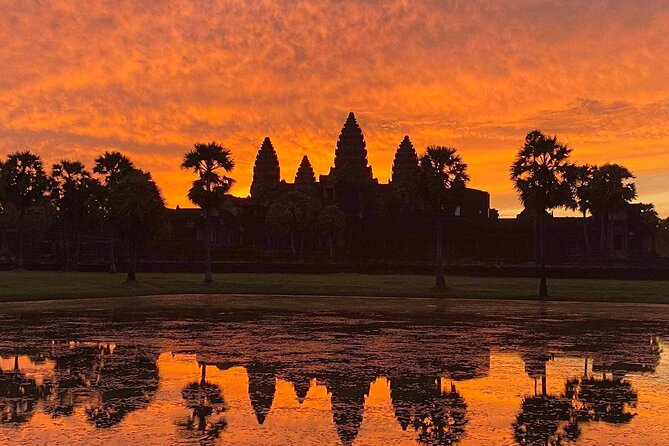 Private sunrise 'small tour' of Angkor Wat with car or van & Guide - Stop 3: Ta Prohm, jungle drama, and the Tomb Raider look