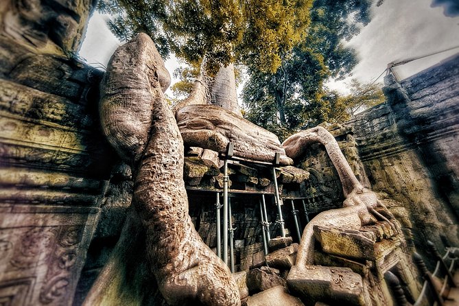 Private sunrise tour to Angkor Wat & other highlights with Professional Guide. - Ta Prohm early for fewer crowds, more atmosphere