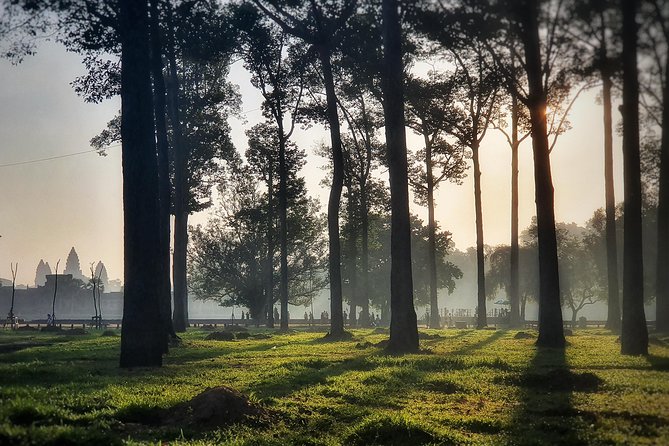 Private sunrise tour to Angkor Wat & other highlights with Professional Guide. - Angkor Thom city gate area: quick views that set up Bayon