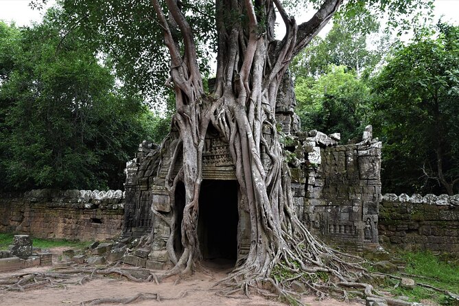 Private Taxi Siem Reap to Phnom Penh, Reliable Driver, Transfer - Why this Siem Reap to Phnom Penh taxi is a smart plan