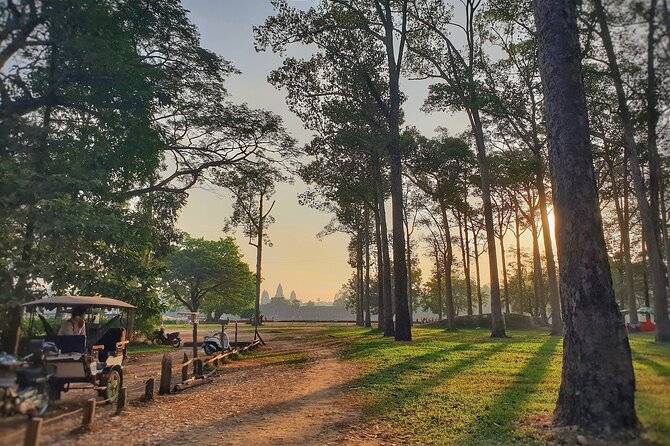 Private Temples Guided Tour (Angkor Wat, Ta Prom & Angkor Thom) - Price and logistics, what $75 really buys