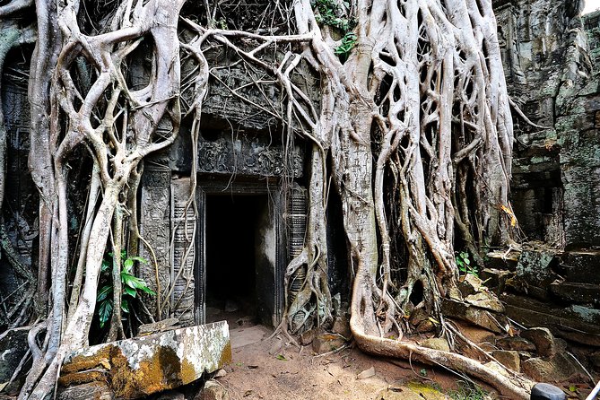 Private Temples Guided Tour (Angkor Wat, Ta Prom & Angkor Thom) - Breakfast and the Sivutha Boulevard break, when to fuel up