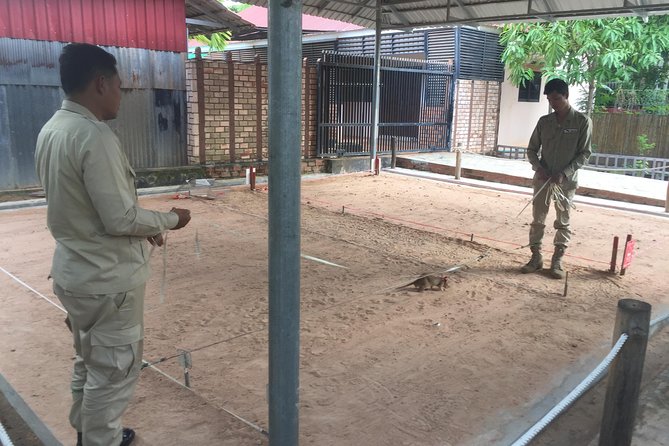 Private Tour: HERO Rats & Angkor National Museum - Angkor National Museum: imperial Khmer artifacts, and what if it is closed