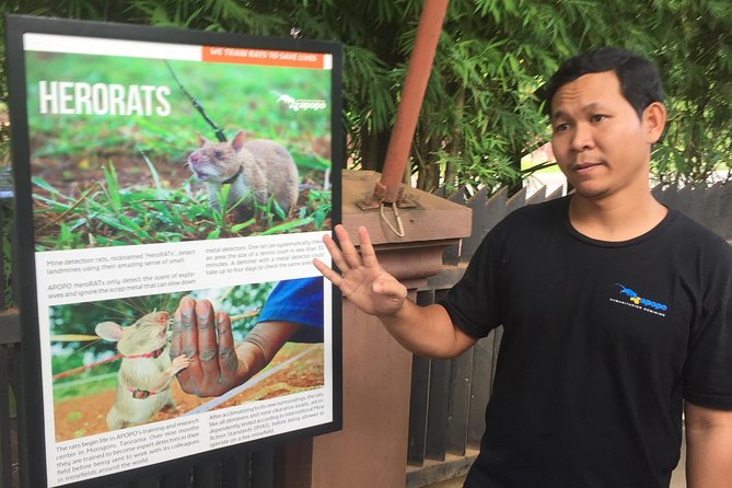 Private Tour: HERO Rats & Angkor National Museum - Price and value: is $85 per person fair for this day?