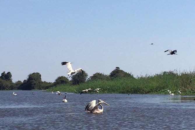 Private Tour Prek Toal Bird Sanctuary Off Beaten Track - Key Highlights to Know Before You Go