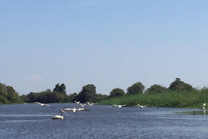 Private Tour Prek Toal Bird Sanctuary Off Beaten Track - Why Prek Toal Feels Like a Bird Movie Set