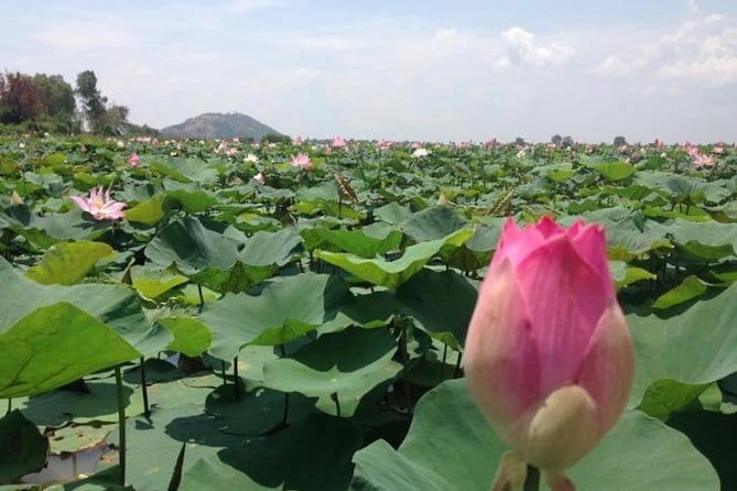 Private Tour Prek Toal Bird Sanctuary Off Beaten Track - Siem Reap to the Harbor: Farms, Rice Fields, and Daily Work
