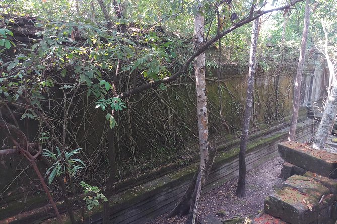 Private Tour to Beng Mealea Jungle Temple and Koh Ker - Private pickup plus village and market glimpses