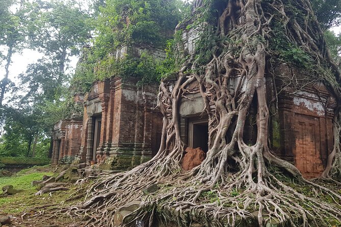Private Tour to Beng Mealea Jungle Temple and Koh Ker - Stop 1: Prasat Beng Mealea and the beauty of jungle takeover