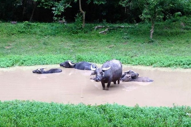 Private Tour to Kompong Phluk Off Beaten Track - Price and value for a private group day