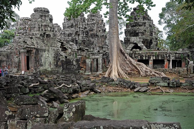 Private Tuk Tuk Tour to Angkor Wat and Small Circle with Two Extras - Ta Prohm: The Jungle Temple Stop That Everyone Remembers