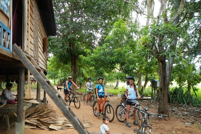 Rice Fields & Rural Villages Tour - Tonle Sap Lake birds: what to expect from the bird-spotting time