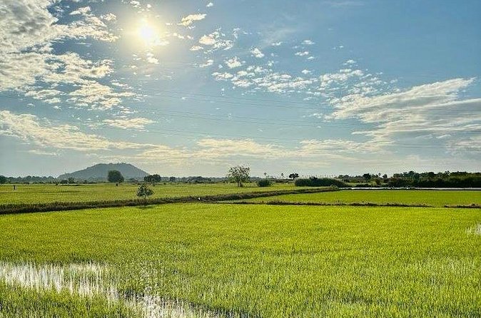 Rural Countryside Experience Tour in Siem Reap - Mushroom farm: the quiet science behind fungi cultivation