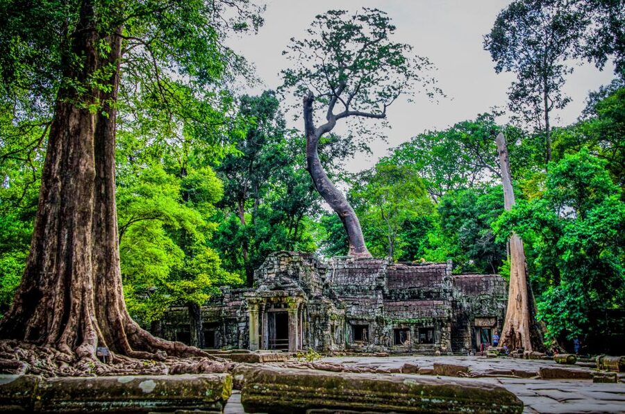 Seat-In-Coach: Small Circuit tour with Sunrise at Angkor Wat - Who this sunrise small circuit fits best