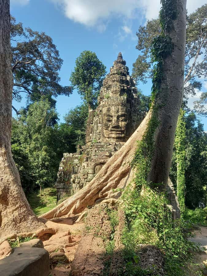 Shared day tour with Spanish-speaking guide at Angkor Temple. - Why this Angkor tour feels easier than going solo