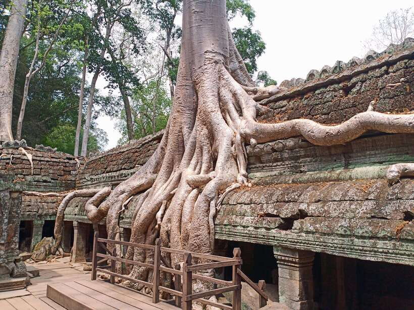 Sharing Trip to Angkor Temple with sunset - Pickup, timing, and the heat factor you cannot ignore