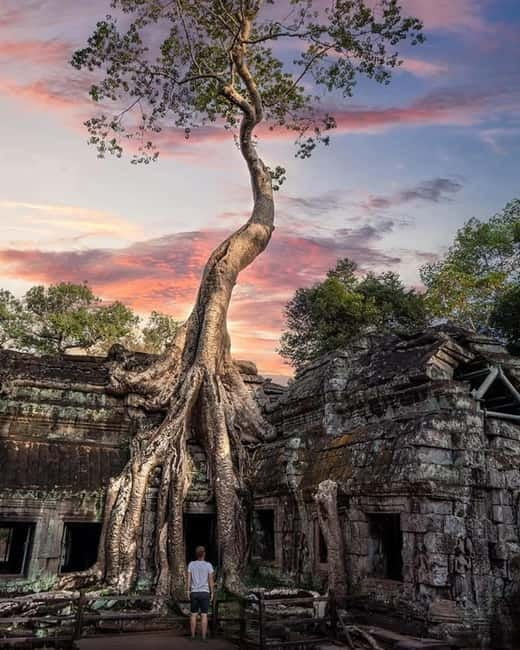 Siem Reap: 2-Day Private Angkor Wat & Angkor Temples Tour - Day 1 Small Circuit: South Gate, Bayon, Ta Prohm, then Angkor Wat