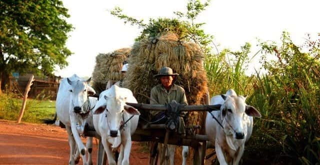 Siem Reap: 3-Hour Ancient Trails Motorbike Tour - Pickup, Getting Set Up, Then Off-Roading for Almost Three Hours