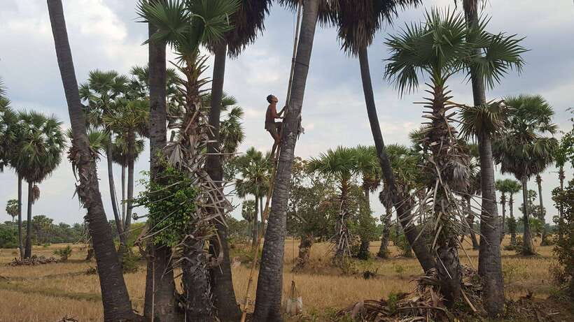 Siem Reap: 6-Hour Easy Rider Motorbike Tour - The Second Ride Block: More Off-Road, More Views, Then the Return