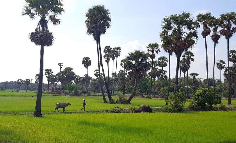 Siem Reap: 6-Hour Easy Rider Motorbike Tour - Why This 6-Hour Easy Rider Tour Works Better Than a Temples-Only Day