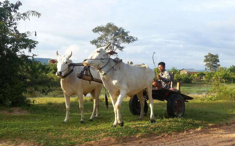 Siem Reap: 6-Hour Easy Rider Motorbike Tour - Crossing the Old Angkor Bridge Over 1,000 Years Old
