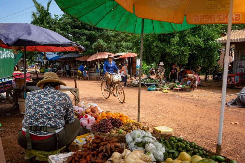 Siem Reap: Afternoon Cooking Class & Village Tour - Key things you will notice on this experience