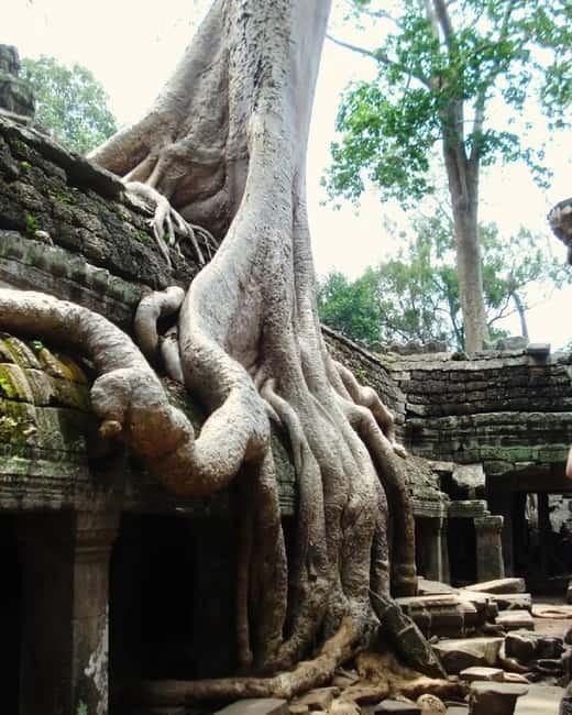 Siem Reap: Angkor 1-Day Private Tour with Sunset or Sunrise - Angkor Wat in the afternoon or at sunrise: what to watch for