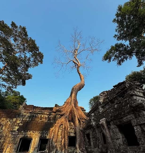 Siem Reap: Angkor 1-Day Private Tour with Sunset or Sunrise - The private setup: how it keeps you from feeling rushed