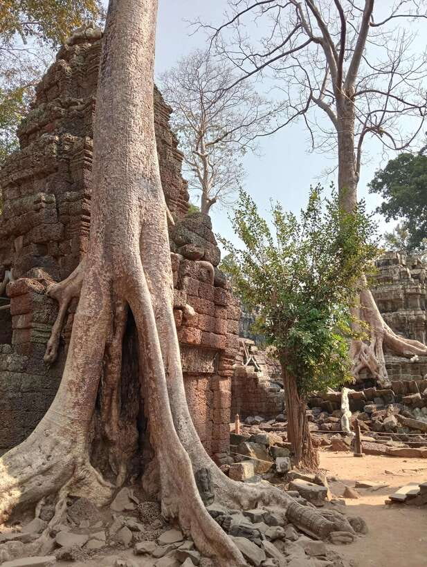 Siem Reap: Angkor Full-Day Group Tour with Japanese Guide - Meeting your Japanese guide and setting expectations