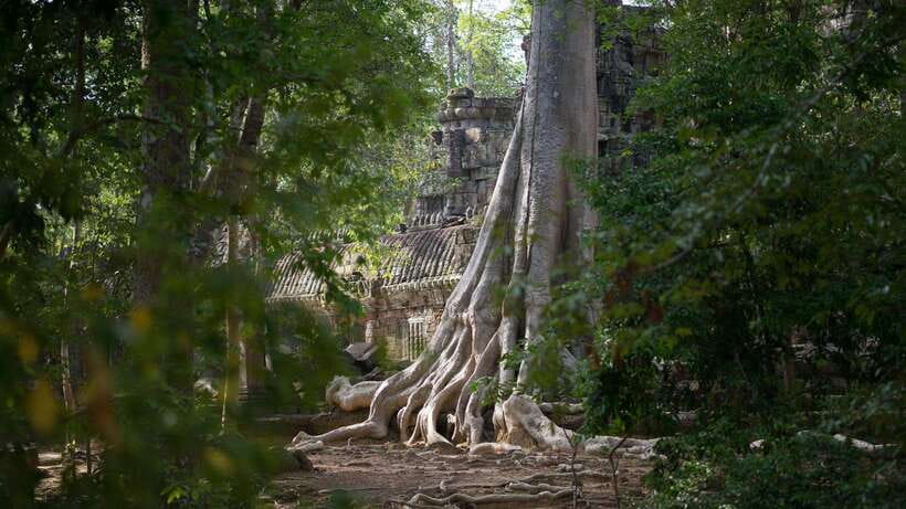 Siem Reap: Angkor Temples Off-Track Bicycle Tour - Preah Khan and Ta Nei: Where the Jungle Changes the Mood