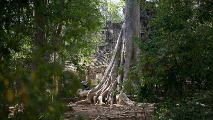 Siem Reap: Angkor Temples Off-Track Bicycle Tour - Practical Tips That Will Save Your Day