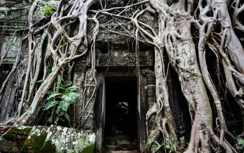 Siem Reap: Angkor Temples Tour - Shared Tours tours guide - Shared group vs private: when each option makes sense