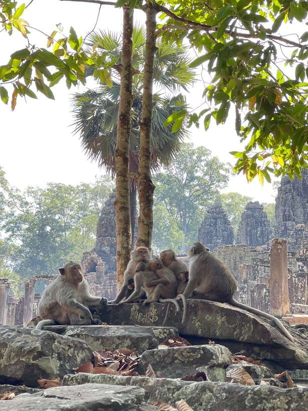 Siem Reap: Angkor Wat Private full Day Tour - Price and value, what the $57 really covers