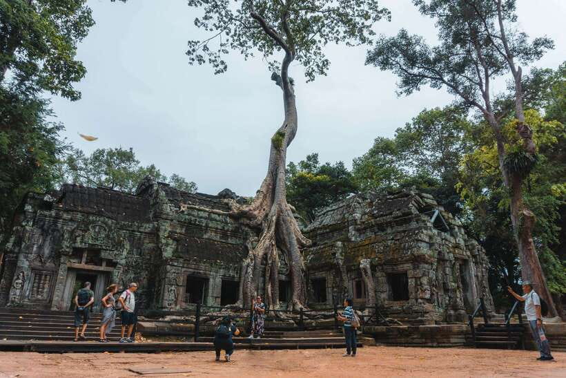 Siem Reap: Angkor Wat Small-Group Full Day Tour and Sunset - Ta Prohm: why the trees and roots feel so unforgettable