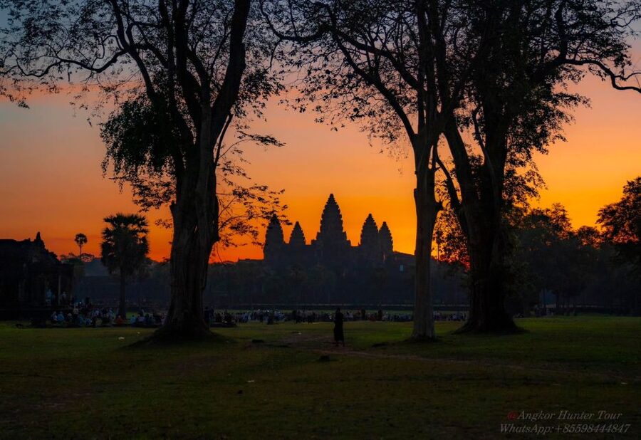 Siem Reap: Angkor Wat: Small-Group Sunrise Tour - Ta Prohm: the Tomb Raider temple, up close