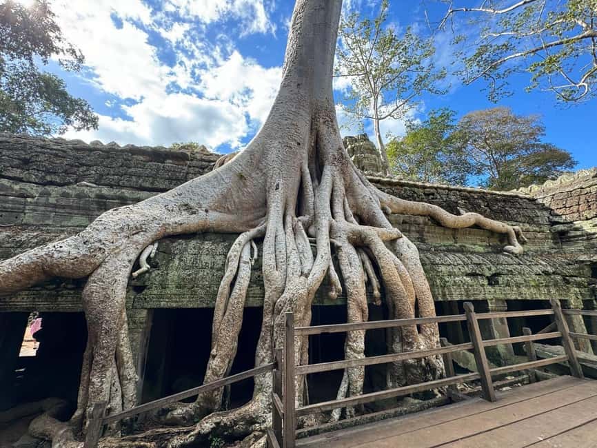 Siem Reap: Angkor Wat Small Group Tour with Spanish Guide - Key things to look for before you go