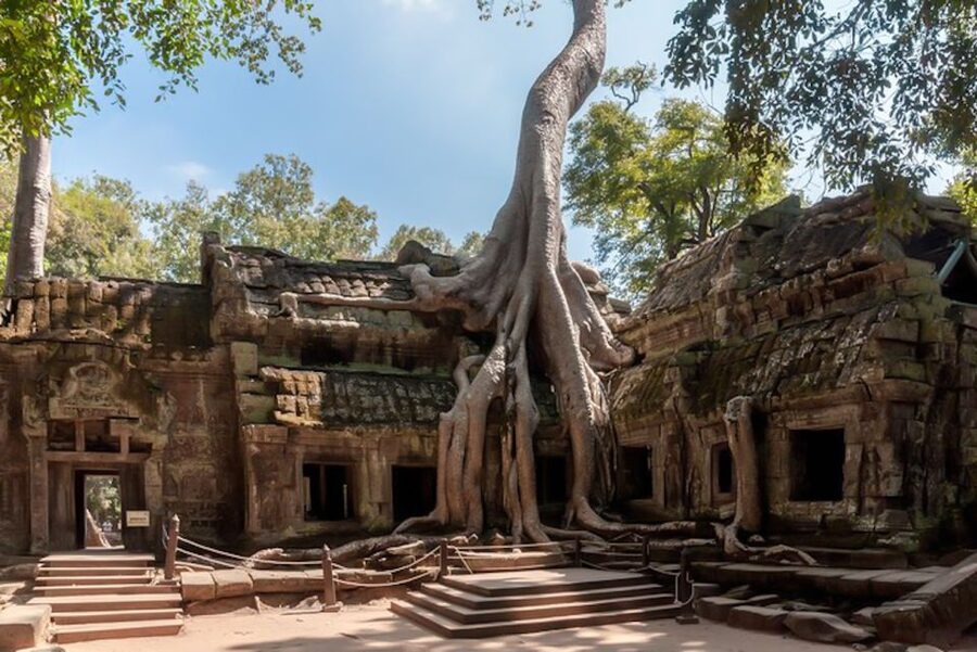 Siem Reap: Angkor Wat Sunrise and Full-Day Sightseeing Tour - Comfort, heat, and pacing across an early start