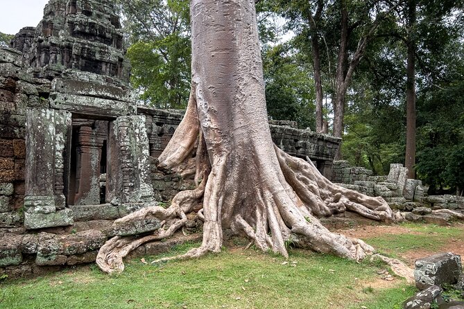 Siem Reap: Angkor Wat Sunrise Bike Tour & Jungle Breakfast - Biking between temples: Bayon and Ta Prohm on gentler, shaded routes