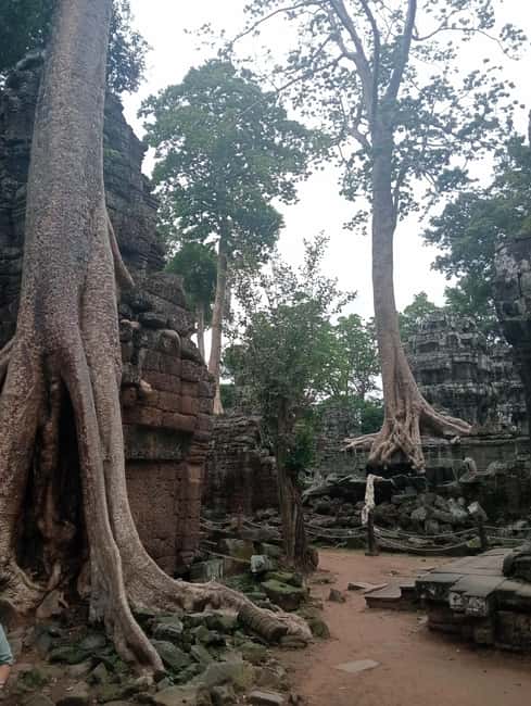Siem Reap: Angkor Wat Tour with Italian-Speaking Guide - Transport and Guides: Private Feel, Real Efficiency