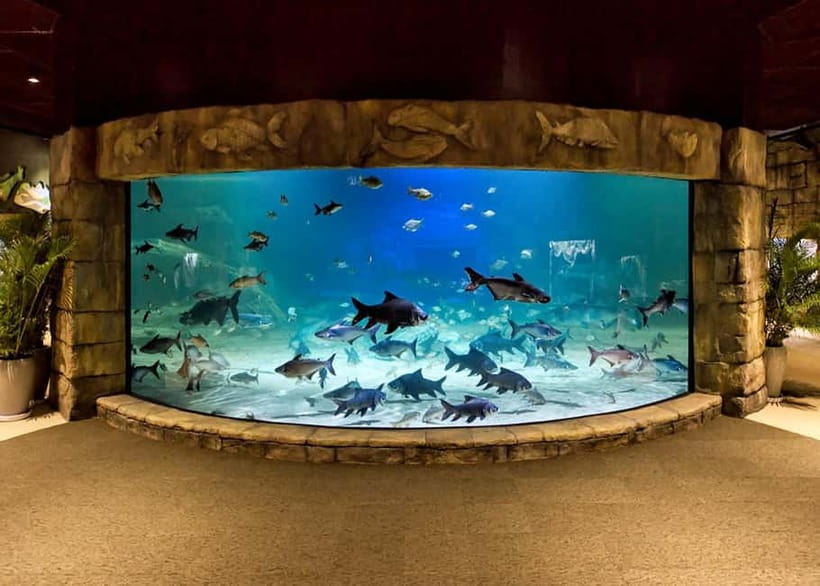 Siem Reap: Angkor Wildlife & Aquarium Entrance Ticket - Key things to know before you go