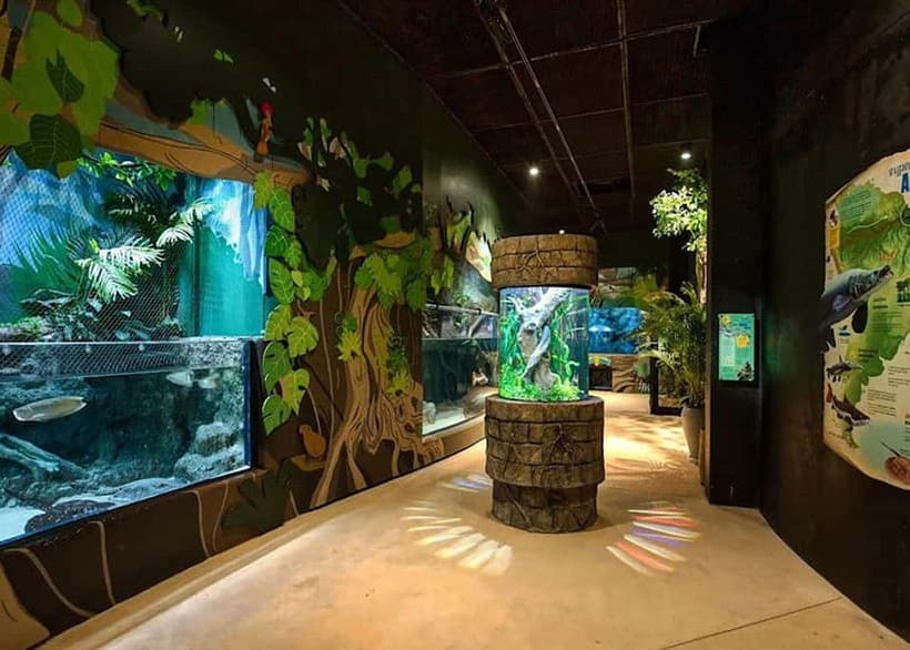 Siem Reap: Angkor Wildlife & Aquarium Entrance Ticket - Wildlife Sanctuary Walk: Otters, Reptiles, and Cambodian Species