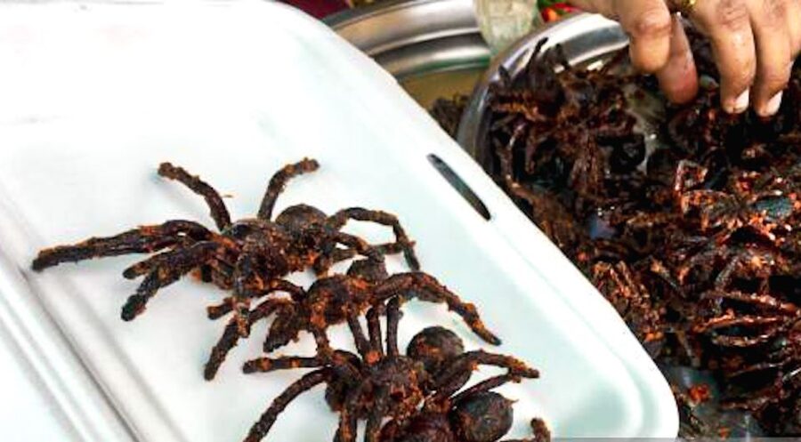 Siem Reap: Cambodia local street foods and local guide - How a local expert changes everything