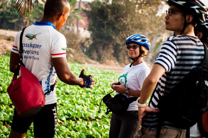 Siem Reap Countryside Guided Tour by Bike and E-Bike Private Tour - Who should book this Siem Reap countryside bike tour